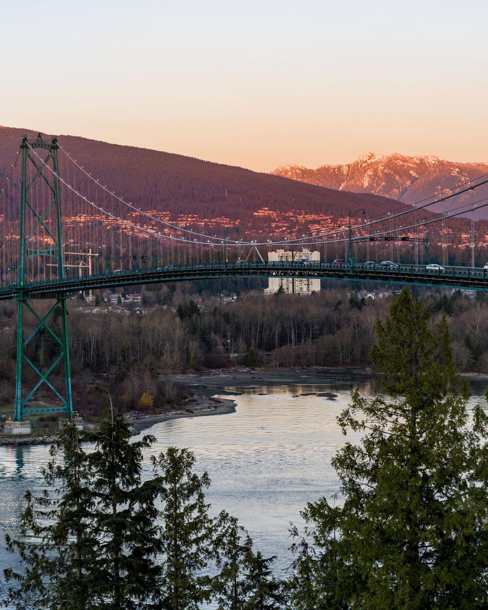 Movers in North Vancouver BC