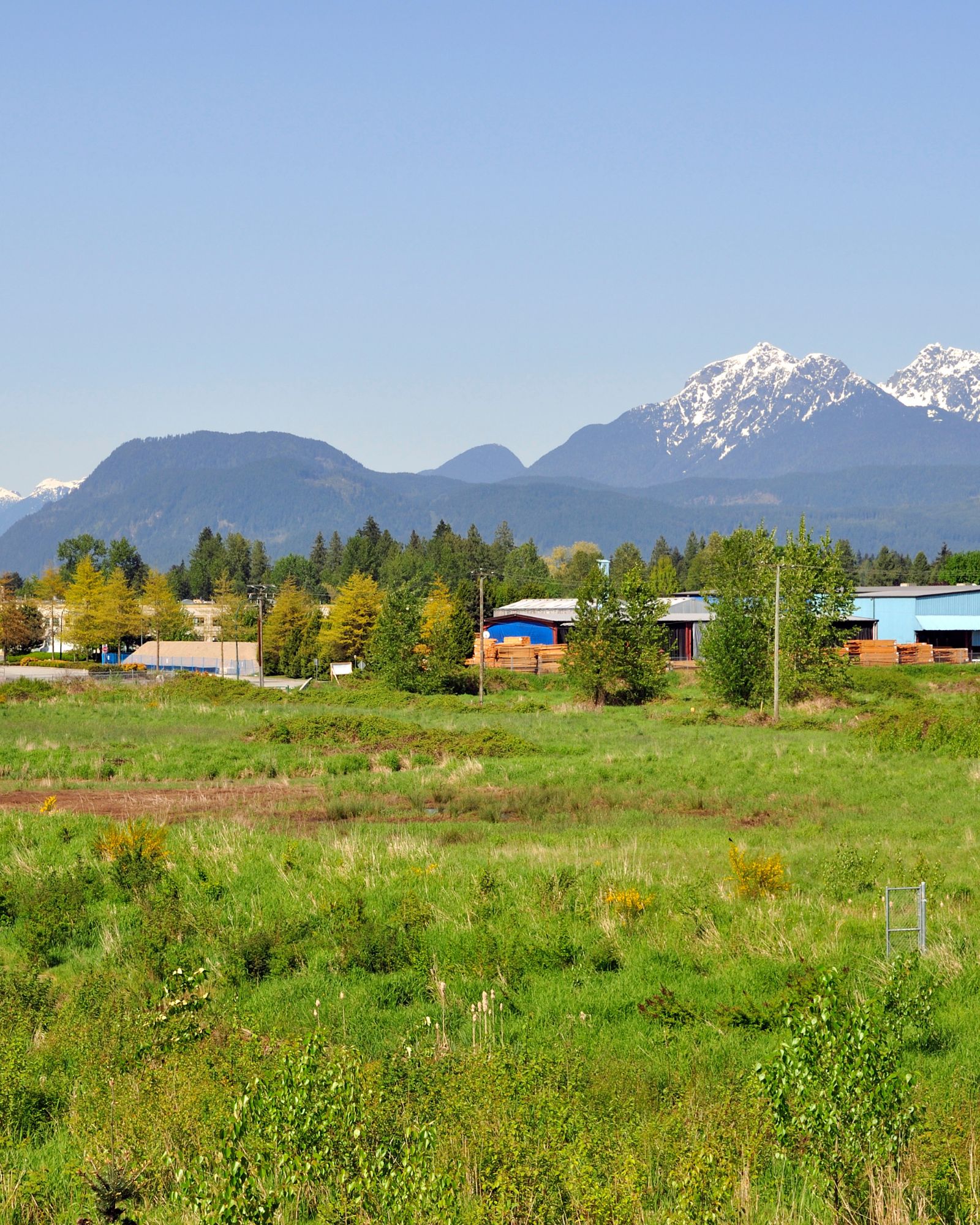 Movers in Pitt Meadows BC
