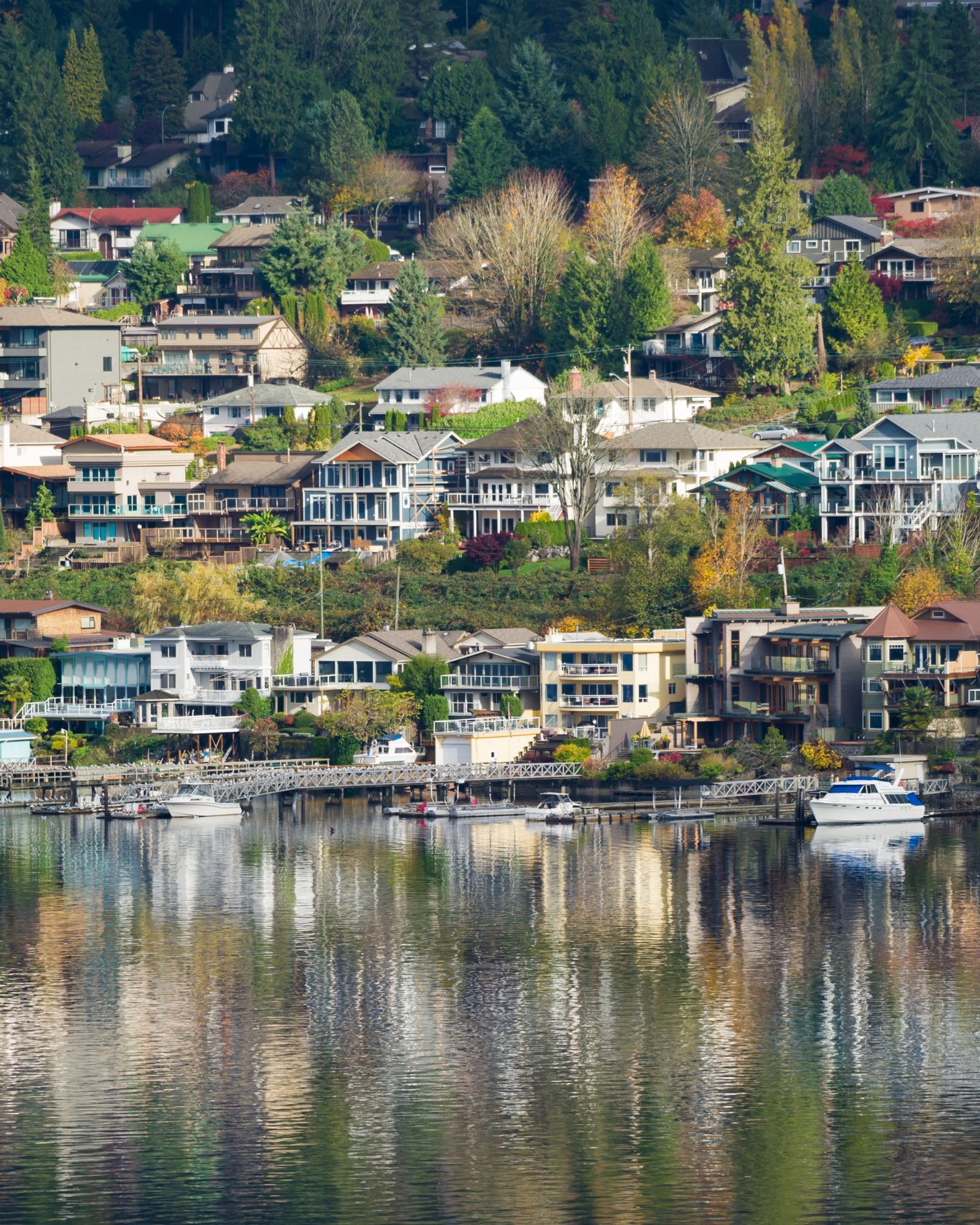 Movers in Port Moody BC