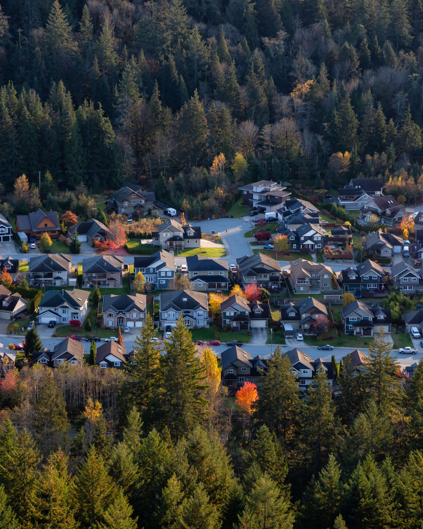 Movers in Squamish BC