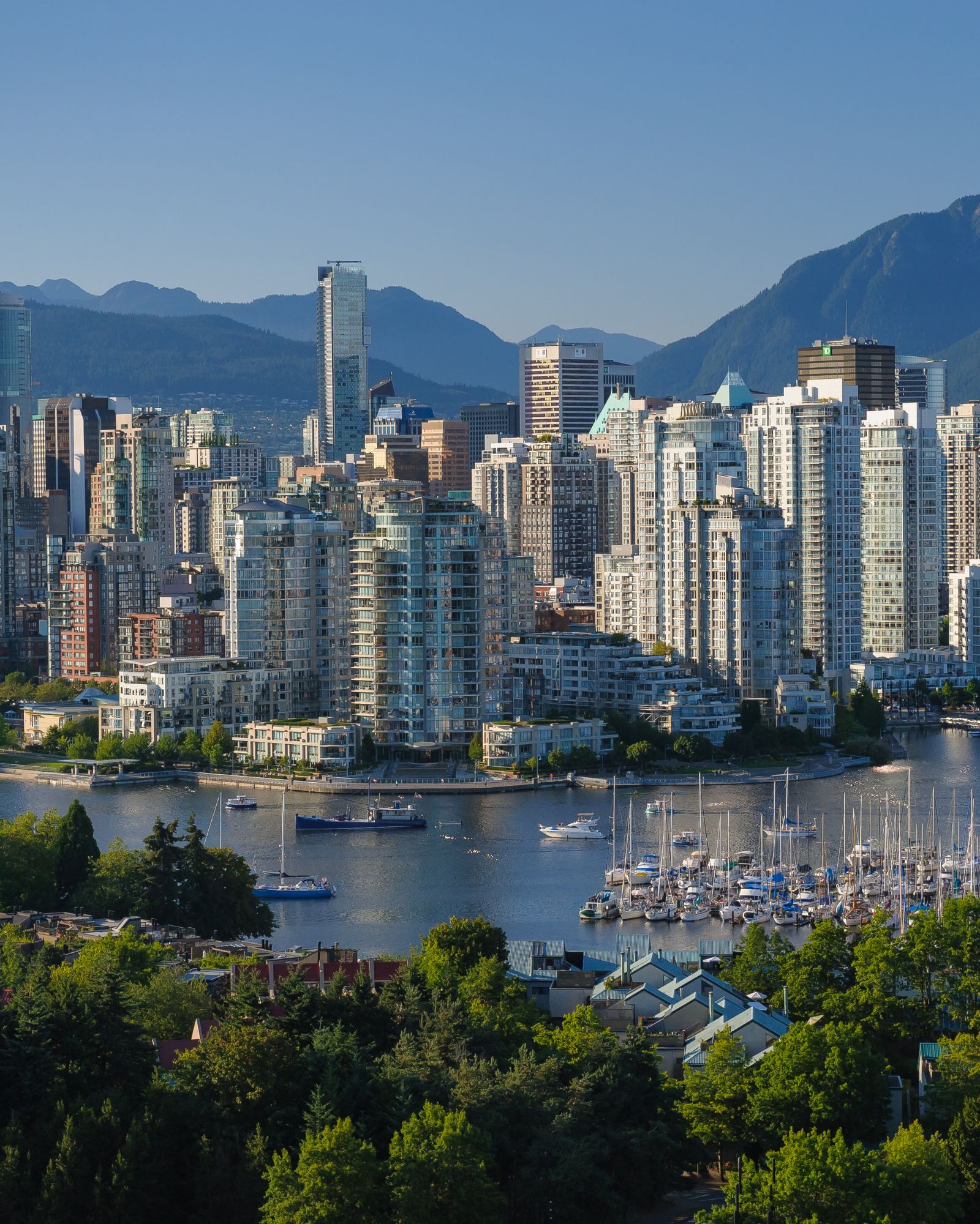 Movers in Vancouver BC