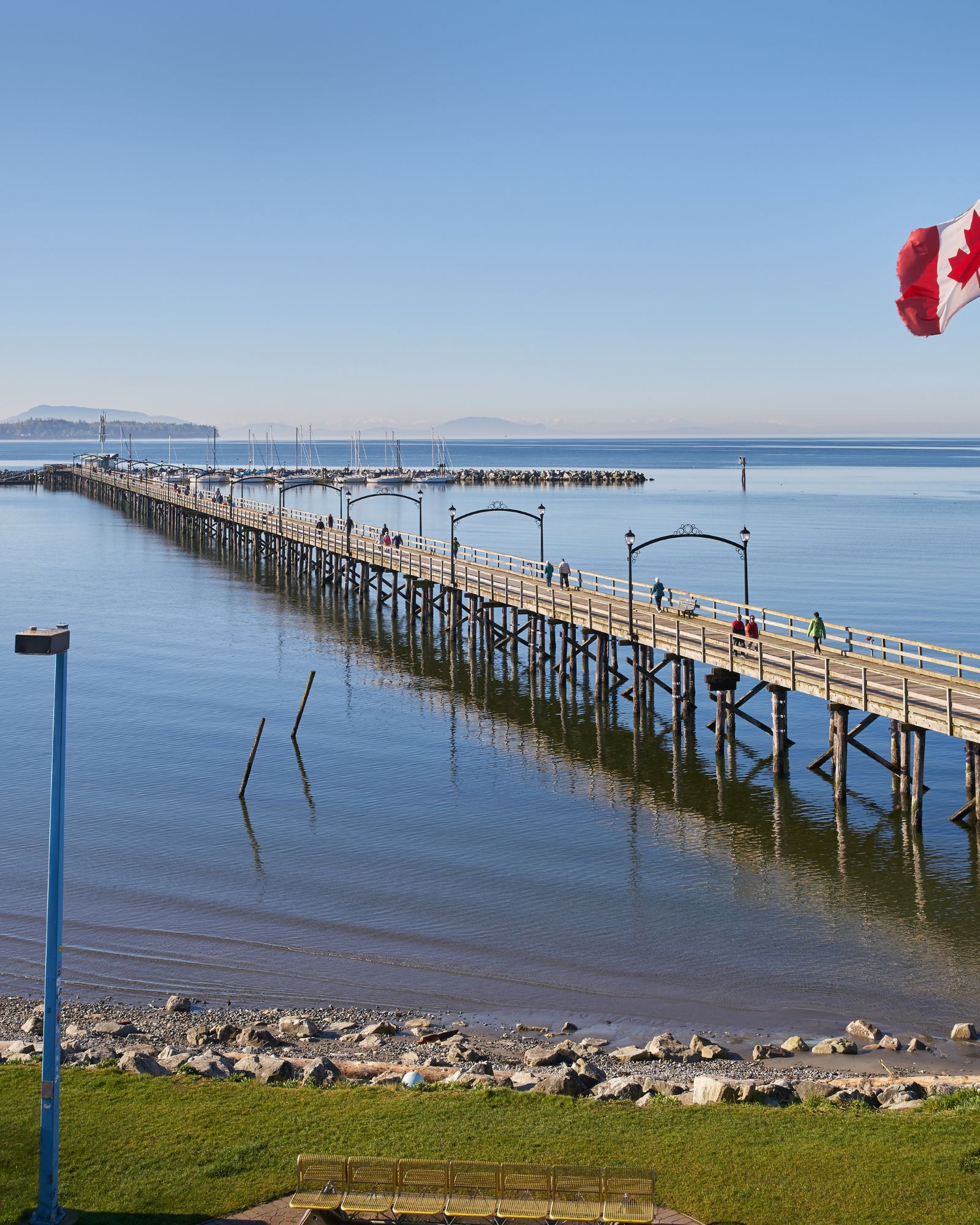 Movers in White Rock BC